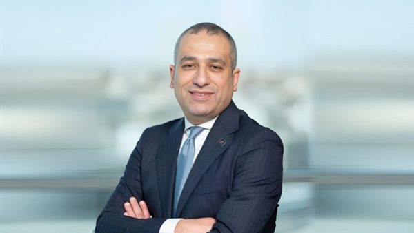 الأستاذ محمد أبو السعود