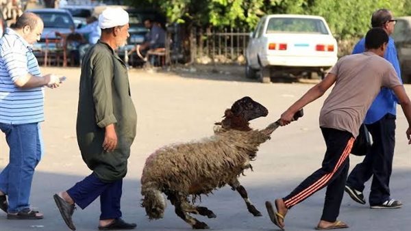 حالة الطقس أول أيام عيد الأضحى 2025