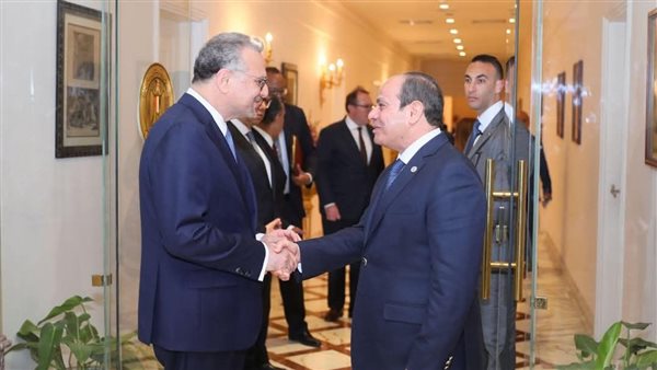 الرئيس السيسي ومسعد بولس مستشار الرئيس الأمريكي