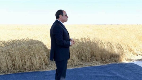 الرئيس عبد الفتاح السيسي، رئيس الجمهورية