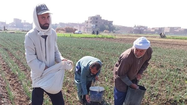 الاستعلام عن منحة العمالة غير المنتظمة 2025