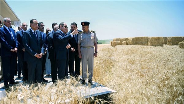 الرئيس عبد الفتاح السيسي، رئيس الجمهورية