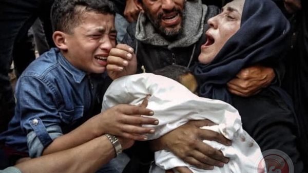 طبيبة الأطفال آلاء النجار، استقبلت أطفالها الـ 7 أشلاء