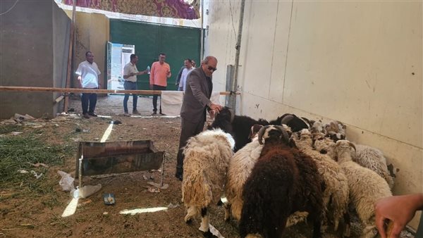 علاء فاروق وزير الزراعة