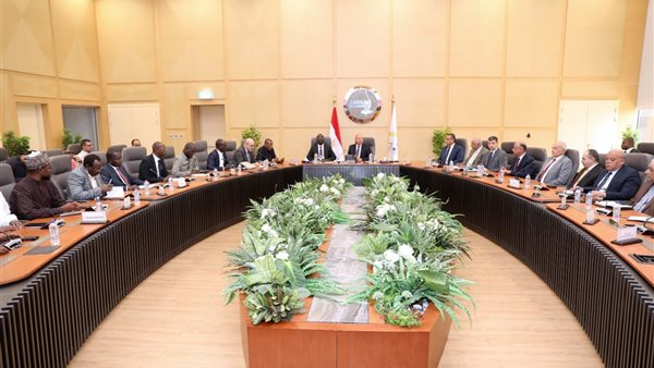 الفريق مهندس كامل الوزير، مع نظيره التشادي 