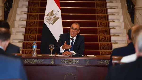 الدكتور بدر عبد العاطي، وزير الخارجية 