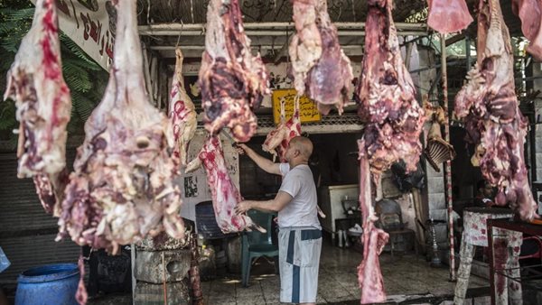 أسعار اللحوم والدواجن قبل عيد الأضحى