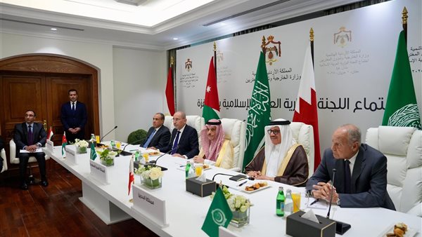 وزير الخارجية في الاجتماع اللجنة الوزارية