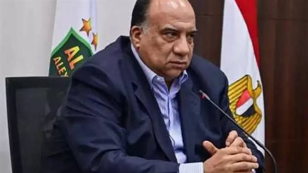 محمد مصيلحي