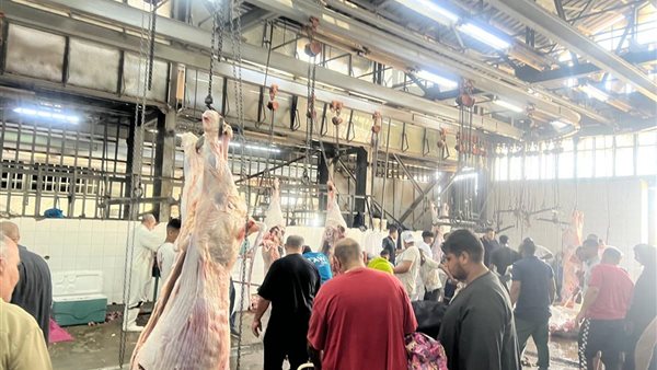إقبال كبير من المواطنين على مجزر البساتين