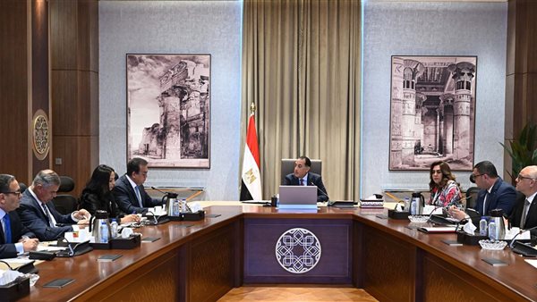 عدد مرضى الجذام في مصر، خطة حكومية لمساعدة المتعافين