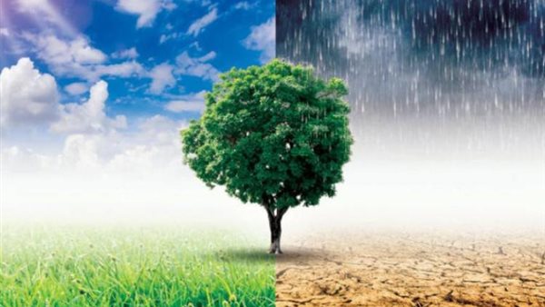 نزاعات الشرق الأوسط له مردود بيئي كارثي