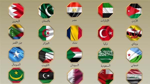 البيان المشترك بين مصر الدول العربية والإسلامية