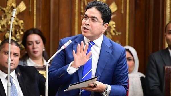 النائب ضياء الدين داوود