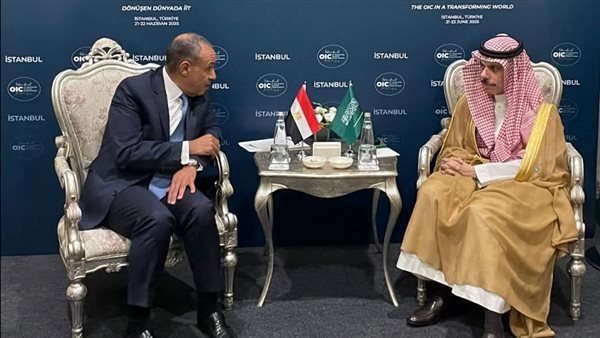 وزير الخارجية خلال لقائه مع نظيره السعودي اليوم