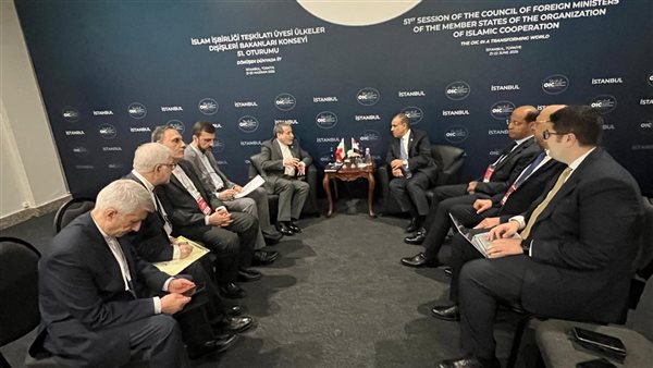 لقاء وزيري خارجية مصر وإيران
