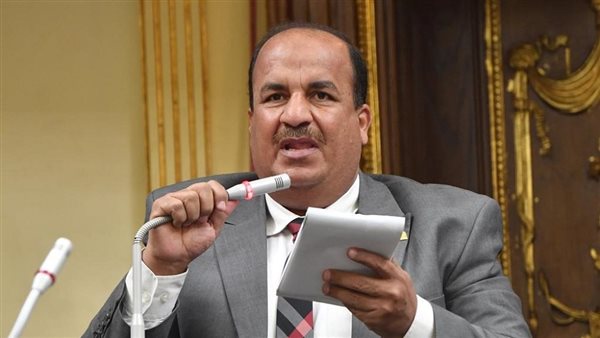 النائب محمد علي عبد الحميد