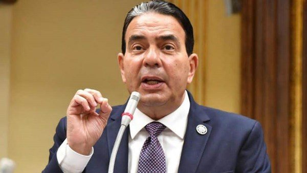 أيمن أبو العلا: نحترم حكم الدستورية