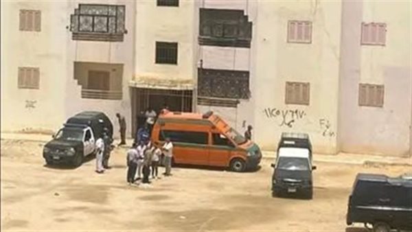 ضبط سائق نقل ذكي اعتدى على سيدة بالقاهرة