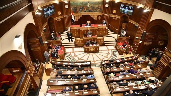 أسماء مرشحى مجلس الشيوخ 2025 محافظة كفر الشيخ