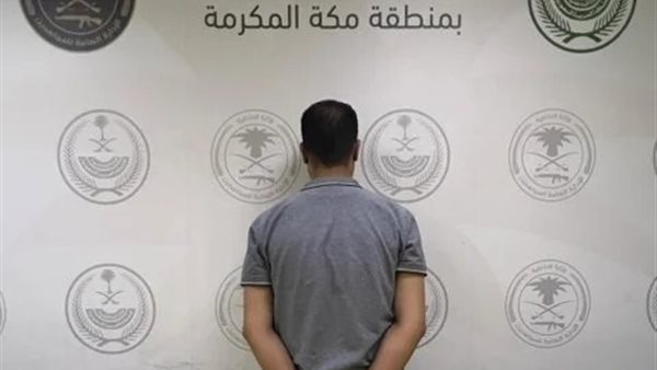 صورة الوافد المصري 