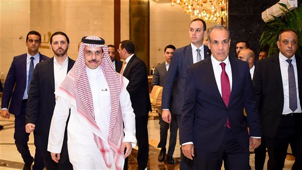 الدكتور بدر عبد العاطي وزير الخارجية والهجرة