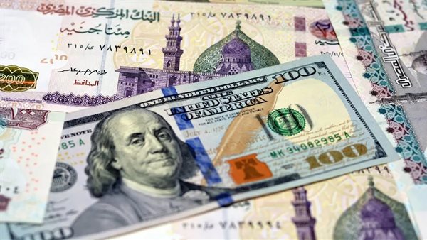 سعر الدولار اليوم في مصر الجمعة 18 يوليو 2025، استقرار بعد ا