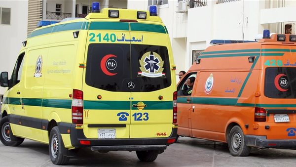 الصحة تكشف حقيقة وفاة 5 أشقاء في المنيا بسبب مبيد حشري
