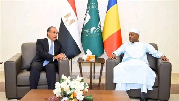وزير الخارجية المصرية يلتقي ونظيره التشادي قبل بدء جولته فى 