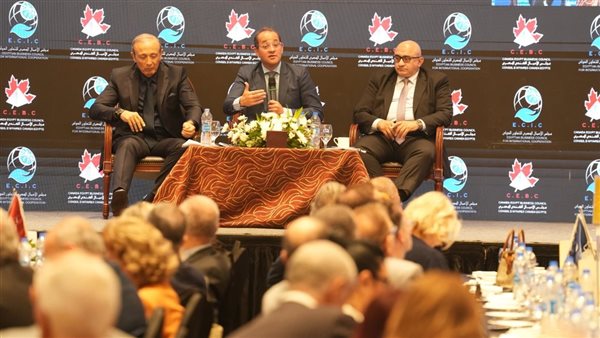 أحمد كجوك، وزير المالية