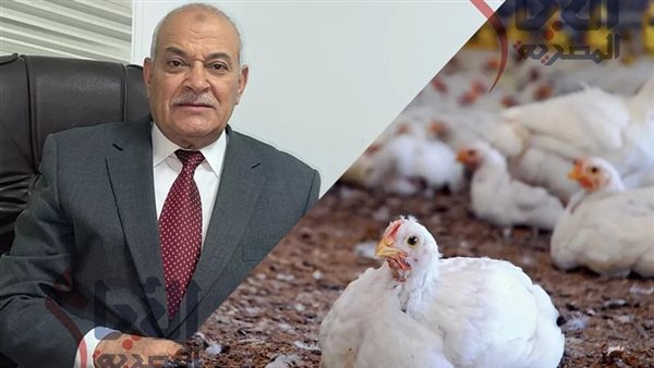 الدكتور عبد العزيز السيد، رئيس شعبة الدواجن بالغرف التجارية