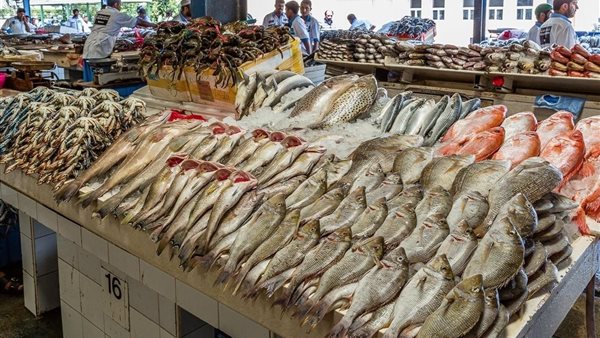 أسعار السمك اليوم السبت 26 يوليو في الأسواق