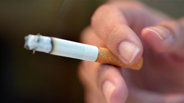 الشرقية للدخان تصدم السوق بقرار مفاجئ، تعرف على الزيادة الجد