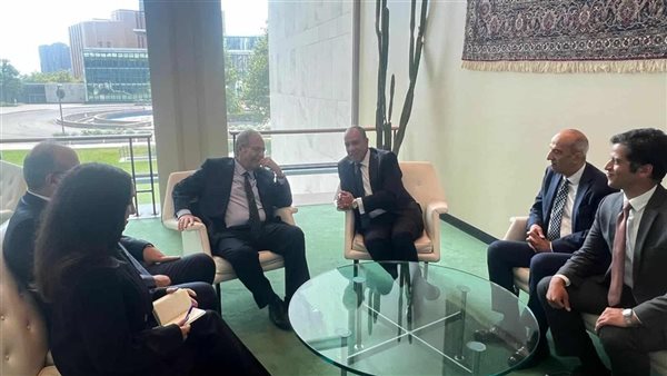 وزير الخارجية يستعرض جهود مصر في الوصل لاتفاق لوقف إطلاق الن
