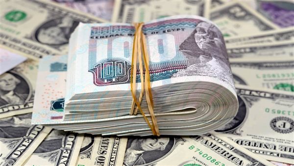 استقرار سعر الدولار اليوم الخميس 31 يوليو 2025