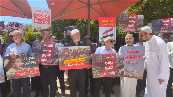 مظاهرات الإخوان في إسرائيل ضد مصر