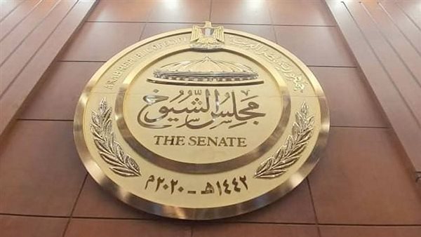 بدء تصويت المصريين بلبنان فى انتخابات مجلس الشيوخ 2025
