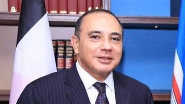 سفير مصر لدى كينيا: أبناء الجالية المصرية حريصين على المشارك