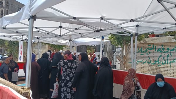 انتخابات مجلس الشيوخ 2025
