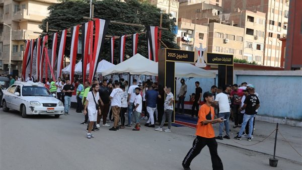 موعد انتهاء انتخابات مجلس الشيوخ 2025