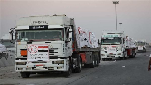 المساعدات المصرية 