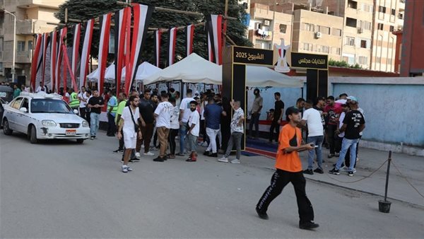 موعد إعادة انتخابات مجلس الشيوخ 2025