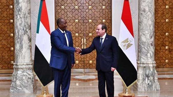 الرئيس السيسي يؤكد دعم مصر الكامل لكافة الجهود الرامية لتحقي
