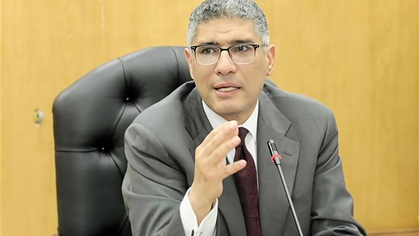 محافظ الجيزة، عادل النجار