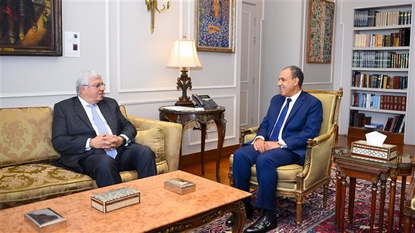 وزير الخارجية ووزير التعليم العالي يبحثان سبل تعزيز التعاون 