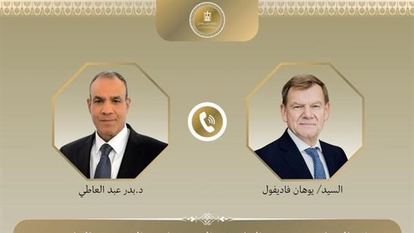 وزيرا خارجية مصر وألمانيا 