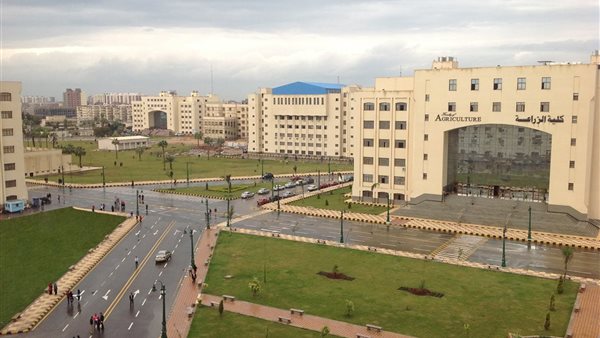 نتيجة تنسيق كلية الزراعة المرحلة الثانية 2025-2026