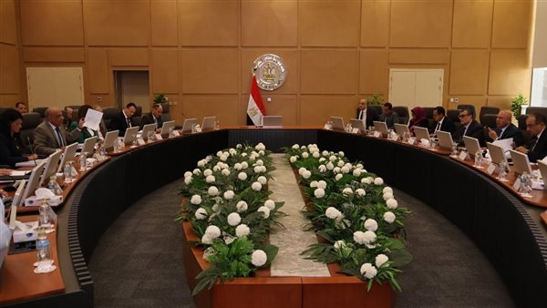 اجتماع المجلس الأعلى للطاقة