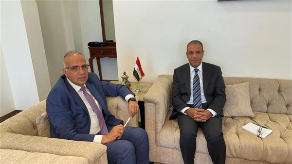 الدكتور بدر عبدالعاطي يلتقي وزير الموارد المائية والري