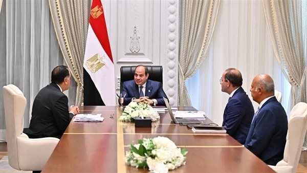 اجتماع الرئيس السيسي مع وزير المالية